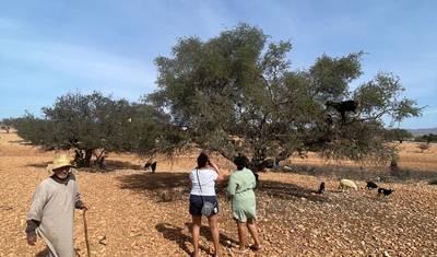 6 Days Desert Tour from Agadir to Erg Chegaga via Marrakech — 3
