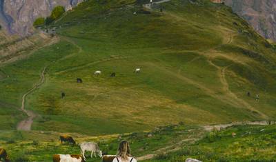 Niesamowita Gruzja 2026 – 5-dniowa kulturalna i widokowa wycieczka po Tbilisi, Mcchecie, Kazbegi i Kachetii — 4