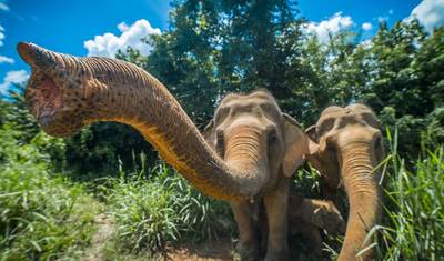 Best of Thailand & Angkor Wat - 12 days — 5