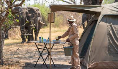 Trilha Selvagem em Botswana: Safári de 8 Dias por Moremi, Savuti e Chobe — 2