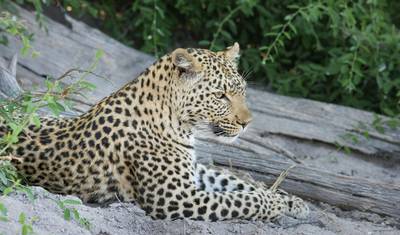 Botswana Explorer Safari: 12-Day Cultural, Wildlife & Wilderness Adventure — 4