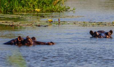 Botswana Explorer Safari: 12-Day Cultural, Wildlife & Wilderness Adventure — 5