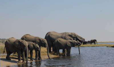 Pacote de Aventura de Safari de 9 Dias em Zanzíbar e Livingstone — 4