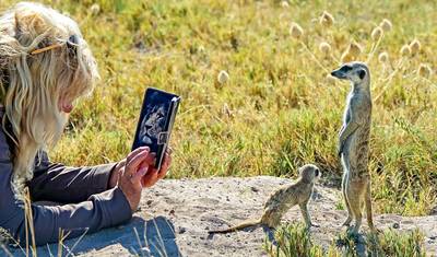 Customized 14 Days Namibia, Botswana & Zimbabwe Tour, Private Guide — 2