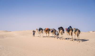 Tunisia : 1 week mixed tours — 3
