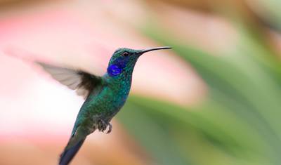 Descubra a Costa Rica — 3