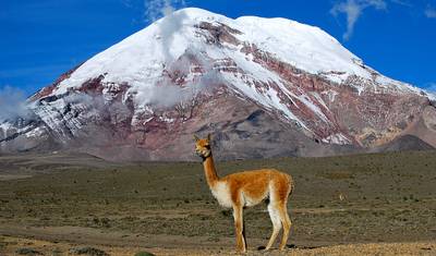 Climbing Cotopaxi and Chimborazo Express 5 Days Tour — 4
