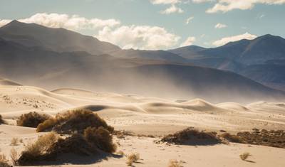 Jornada de 7 Dias pelas Maravilhas do Deserto: Joshua Tree e Vale da Morte — 5