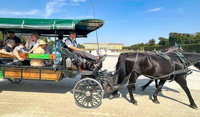 Customized 8 Days Luxury Austria Tour, Daily Start & Private Guide — 4