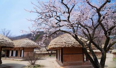 Discover South Korea in 11 Days: From Historic Temples to Majestic Mountains and Beaches — 2