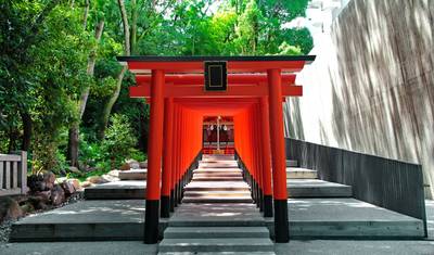 Wonders of Japan end Tokyo GO — 3