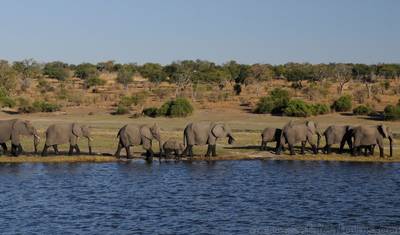 Combo Safari Cataratas Vitória + Parque Nacional Hwange 4 Dias / 3 Noites — 2