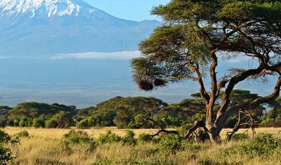 Excursão de um dia a Amboseli saindo de Nairóbi – Veja Elefantes e Vistas do Kilimanjaro — 3