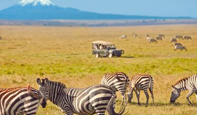 Excursão de um dia a Amboseli saindo de Nairóbi – Veja Elefantes e Vistas do Kilimanjaro — 4