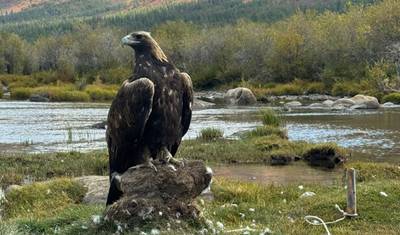 Altai Wonders: Eagles, Lakes &amp; Nomads - 6 Days Tour — 3