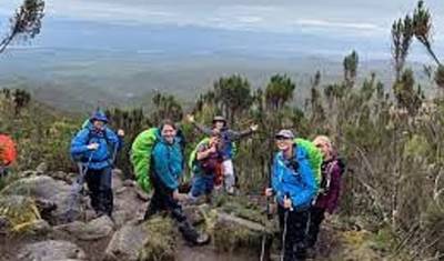 Kilimanjaro via Lemosho Route ~ Guided *TREK*CLIMB* — 2
