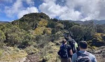 Kilimanjaro via Lemosho Route ~ Guided *TREK*CLIMB* — 5