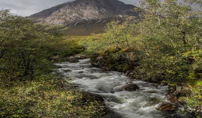 West Highland Way (Scotland) ~ Guided *TREK* (AII Inclusive) — 2