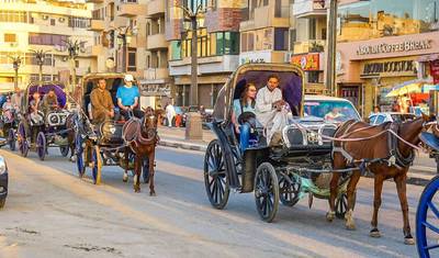 Customized 12-Day Egypt and Jordan Highlights, Daily Start and Private Guide — 5