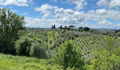 Retiro de 8 Dias em Villa na Toscana, Chianti, Perto de Florença (Apenas para Mulheres) — 4
