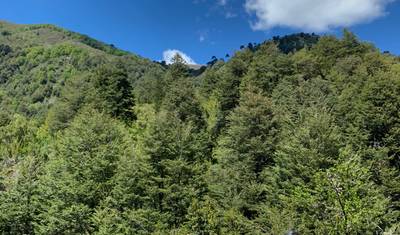 Chile - Lakes and volcanoes 8 Days — 3