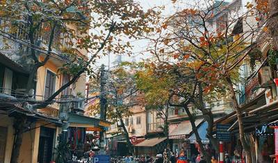 5-Day Northern Vietnam Discovery: Hanoi, Ninh Binh & Ha Long Bay Cruise — 2