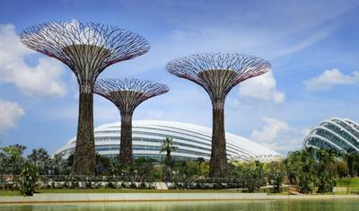 Singapore Holiday Package 5 Nights 6 Days – Wildlife & City Highlights — 2