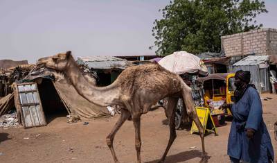 Glimpse of Niger cultural experience — 5