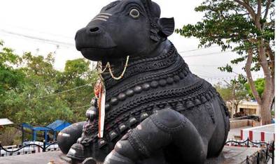 Excursão de 5 Dias para Descobrir o Sul da Índia – Bangalore, Mysuru & Coorg — 3