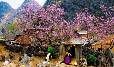 Ha Giang i Zatoka Ha Long – 8 dni / 7 nocy [Wycieczka prywatna] — 2