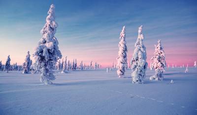 Aurora Boreal da Finlândia (Aventura para Mulheres Solo) — 5
