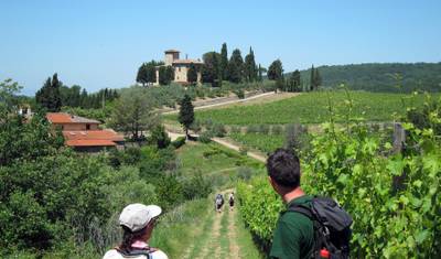 Caminhadas na Toscana e Vinhos Chianti — 3