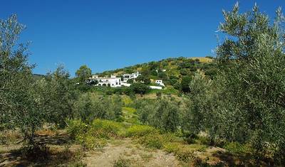 Wędrówki po Andaluzji — 5