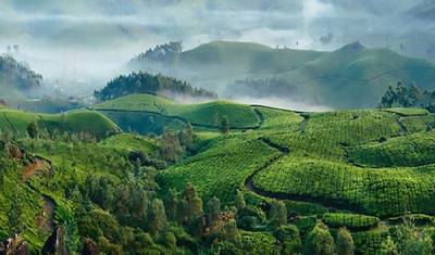 Kerala Green Paradise Escape – Nature & Backwaters — 4