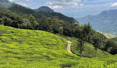 Kerala Green Paradise Escape – Nature & Backwaters — 5