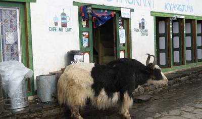 Trekking do Bazy pod Everestem — 4