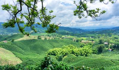 Colombia’s Coffee Highlands — 2