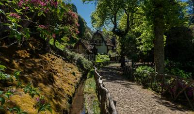 Madeira, caminhada autoguiada em um jardim extraordinário — 2