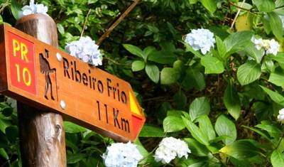 Madeira, caminhada autoguiada em um jardim extraordinário — 5