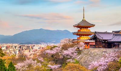 Enchanting Exploration of Japan's Treasures - 7 days — 2