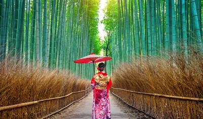 Aventura Encantadora no Japão: De Tóquio a Osaka - 7 dias — 5