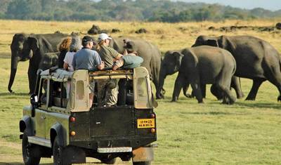 Sri Lanka "The Gathering" — 5