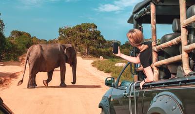 O Selvagem do Sri Lanka em Luxo — 5