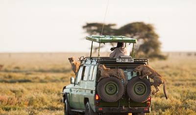 Tanzania 7-dniowe safari: Uosobienie Północnego Szlaku – Przygoda z Naturą i Dziką Przyrodą — 4