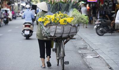VIETNAM AT A GLANCE 9 DAYS — 3