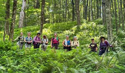 Slackpacking® the Appalachian Trail: Massachusetts (Women-Only) — 4