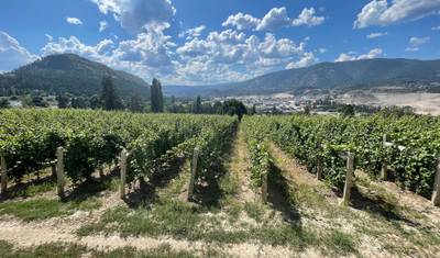 Rainforest to Rockies Tour: Vancouver to Calgary — 3