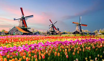 Tulipanowa Serenada (Amsterdam - Amsterdam) (15 miejsc docelowych) — 5