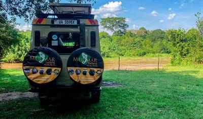 10 Day Gorillas, Chimps and Big Game Group Safari — 5
