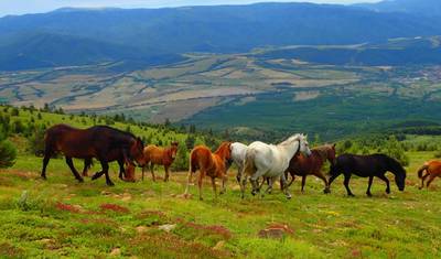 Castles, Culture & Legends: Bulgaria–Romania Private Tour — 3